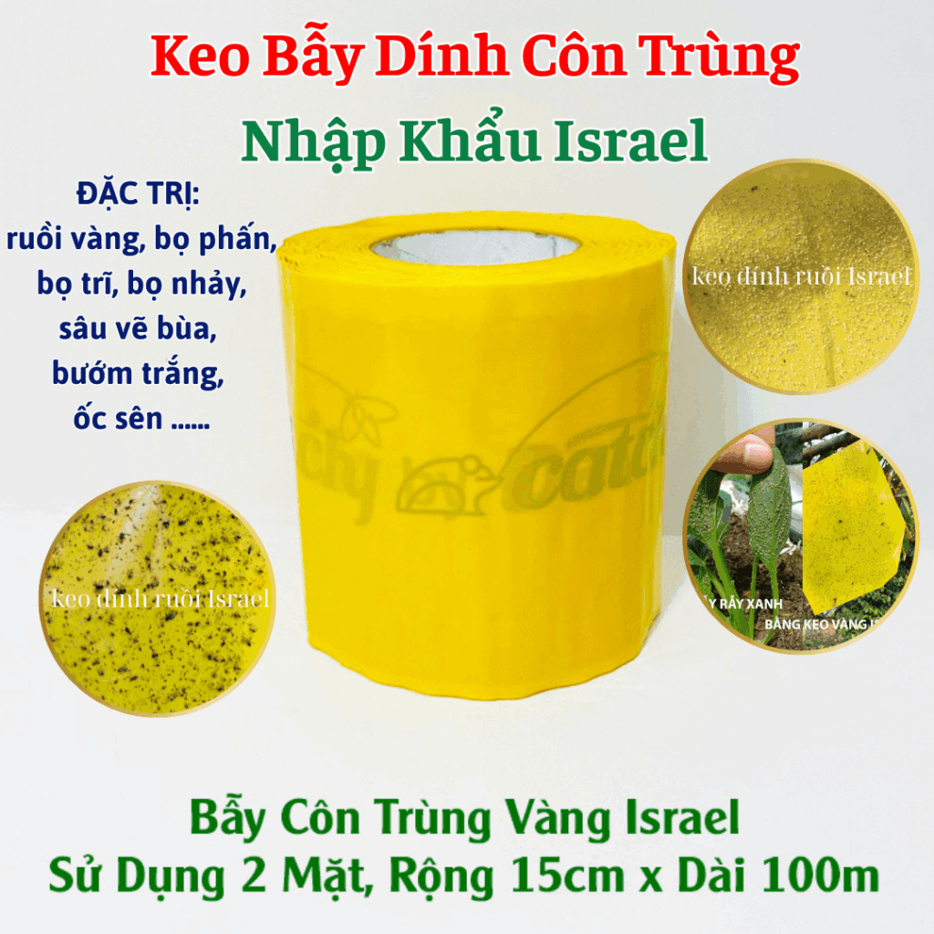 Keo Dính Màu Xanh Diệt Bọ Trĩ nhập khẩu Israel Blue Trap