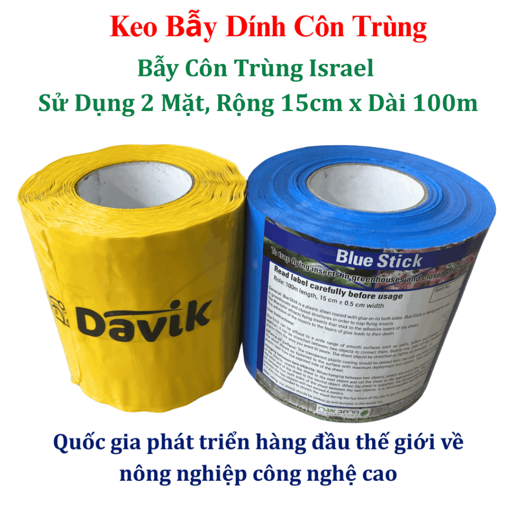 Diệt Bọ Trĩ bằng Keo Bẫy Xanh Blue Trap