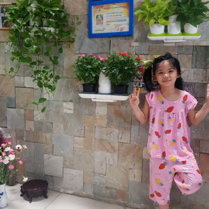 Chậu treo tường tự tưới thông minh nhập khẩu dành cho người bận rộn Basic S