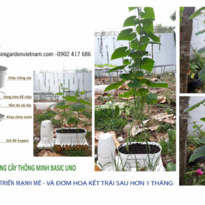 2 SET Tự Trồng Rau (trồng bí) giá còn 449k/bộ chậu trồng rau tự dưỡng Basic UNO nhập khẩu Bồ Đào nha bảo hành 10 năm