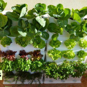 08 Chậu Trồng Rau Sân Thượng (1m2 xếp ngang)Module nhập khẩu Bồ Đào Nha Vertical (Không kèm tưới nhỏ giọt bán tự động)