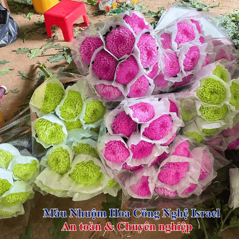 Thuốc Nhuộm Hoa Tươi Màu Hồng Sen, Xanh Cốm