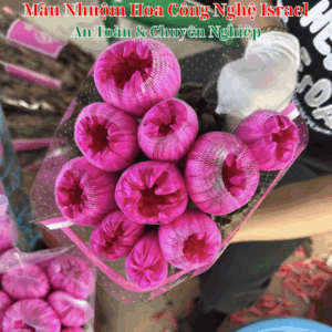 Đánh Giá Nước Nhuộm Hoa tươi nhập khẩu công nghệ Israel