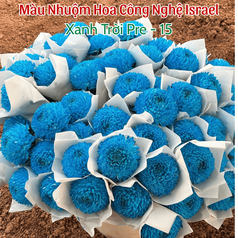 Nước Nhuộm Hoa Cúc Mẫu Đơn Màu Xanh Dương