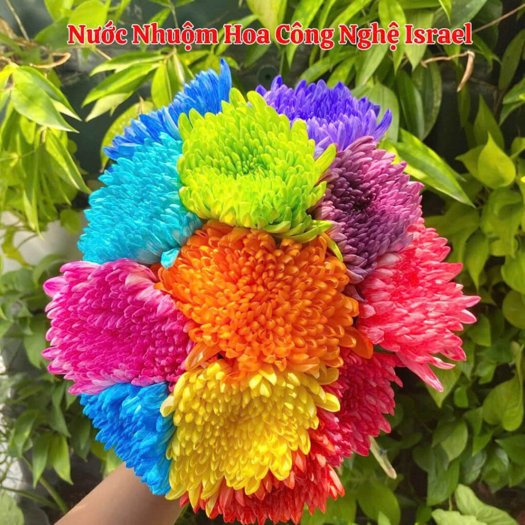 Nước Màu Nhuộm Hoa Tươi (Chai 1 Lít) dùng nhuộm hoa cắt cành đổi màu theo ý muốn