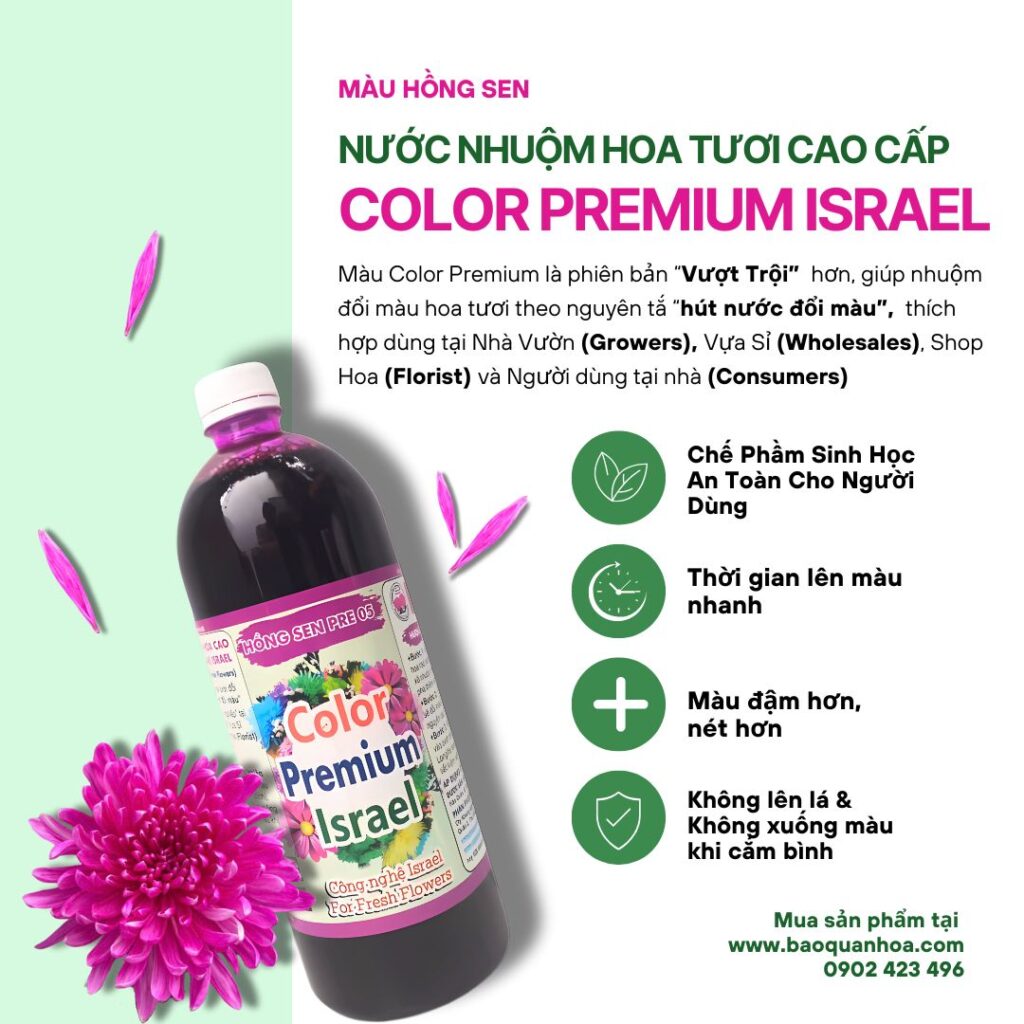 Hướng Dẫn Nhuộm Một Bông Hoa Thành 7 Màu Cầu Vồng Bằng Công Nghệ Israel