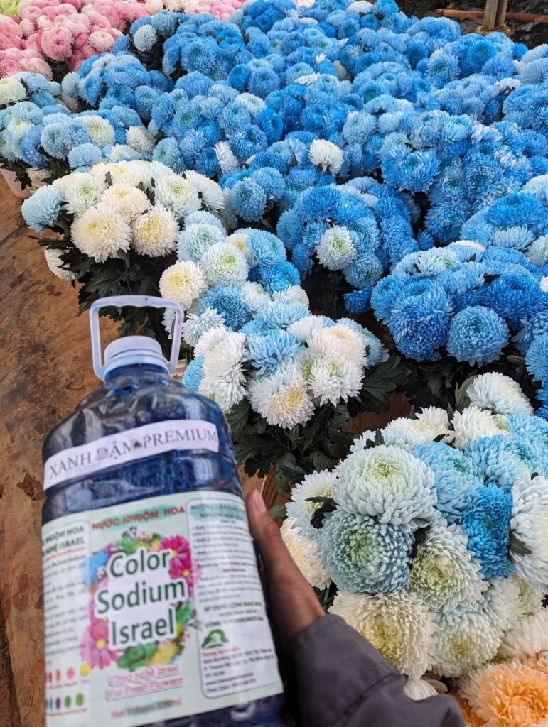 Nước Nhuộm Hoa Cúc Mẫu Đơn Màu Xanh Dương
