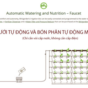 Giải Pháp Tưới Nhỏ Giọt Tự Động Nhà Phố Minigarden Bồ Đào Nha