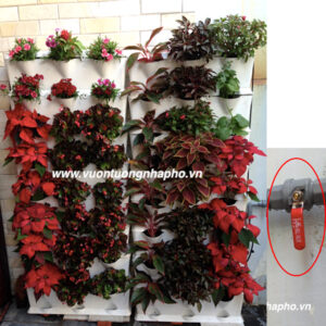 HỆ THỐNG TƯỚI NHỎ GIỌT BÁN TỰ ĐỘNG LÀ GÌ? CÁCH LẮP ĐẶT VÀ VẬN HÀNH TƯỚI NHƯ THẾ NÀO?