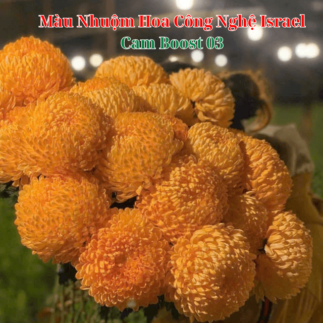 Nước Nhuộm Hoa Tươi Màu Cam Boost Pre 03