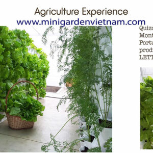 Chậu Trồng Rau Thẳng Đứng Vertical Bồ Đào Nha Nông Nghiệp Phố Hữu Cơ