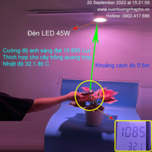 TRỒNG CÂY KIỂNG LÁ TRONG NHÀ BẰNG ĐÈN LED TRÒN cung cấp ánh sáng cần thiết cho cây trồng 45W