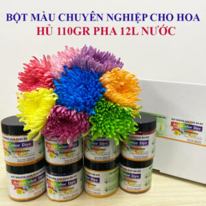 Thanh lý Thuốc Bột Màu Hoa Tươi nhập khẩu Ấn Độ (1 hủ pha 12L màu)
