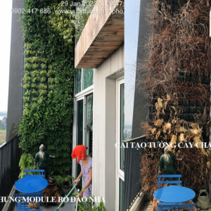 Cải Tạo Ban Công Xanh và Thay Mới Tường Xanh Chậu Nhỏ Việt Nam