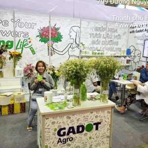 Công ty Khang Ngọc Khánh Tuyển Dụng Kinh Doanh Online