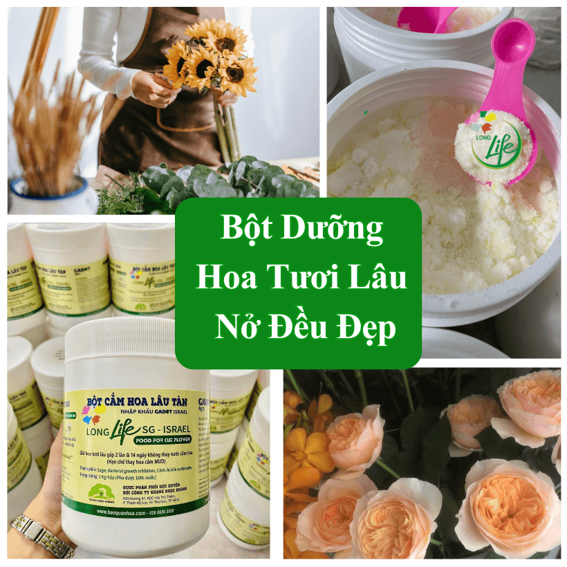 Bột Dưỡng Hoa Tươi LongLife SG 1KG Nhập Khẩu Israel