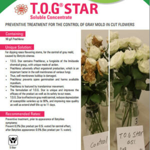 Thuốc Dưỡng Hoa Hồng lâu tàn TOG Star nhúng đầu bông hồng trị nấm mốc xám Botrytis