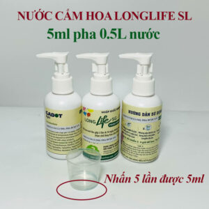 Nước Cắm Hoa Nhập Khẩu đậm đặc (Chai 100ml) dùng trên 20 bình hoa