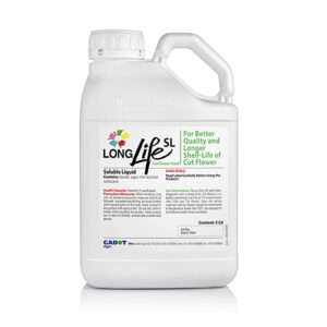 Thuốc Nước Cắm Hoa Lâu Tàn tại Vựa Sỉ Hoa (Can 5L pha 500L nước giá còn 350k x 1L ) và 15 ngày không thay nước