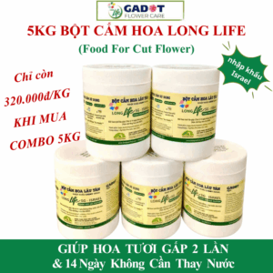 5KG Bột Cắm Hoa Tươi Lâu tại Shop Hoa Hiệu Longlife SG - Nhập Khẩu ISRAEL