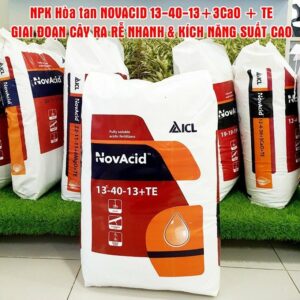 (Bao 25kg) Phân bón Israel hòa Tan và không lắng cặn Novacid 13-40+13+Te giúp xử lý ra hoa đồng loạt, hoa trái vụ và tạo kích thích ra hoa, cây