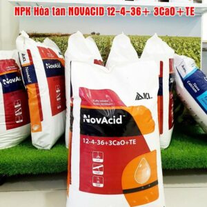 Phân bón Israel NPK Novacid 12-40-36+3CaO+Te hòa tan và không bị lắng cặn (Bao 25KG)  tăng sức đề kháng cho cây