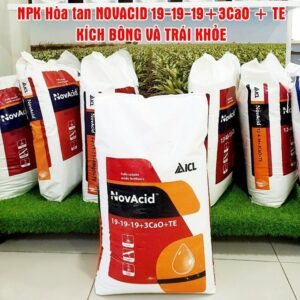 Bao 25KG) Phân bón Israel Novacid hòa tan trong nước và không bị lắng cặn 19-19-19+3CaO+te