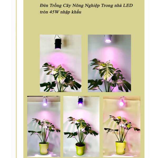 Đèn Trồng Cây Trong Nhà Grow Light Bulb 45W – Kích Thích Cây Phát Triển Khỏe Mạnh