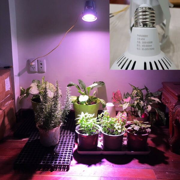Đèn Trồng Cây Trong Nhà Grow Light Bulb 45W – Kích Thích Cây Phát Triển Khỏe Mạnh