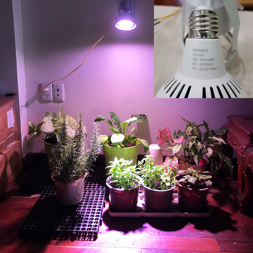 Đèn Trồng Cây Trong Nhà Grow Light Bulb 45W