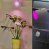 Đèn Trồng Cây Trong Nhà Grow Light Bulb 45W – Kích Thích Cây Phát Triển Khỏe Mạnh