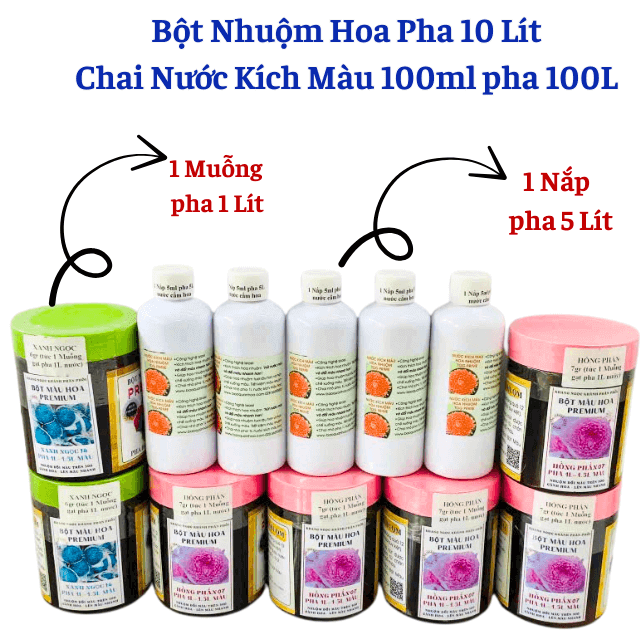 Hướng dẫn Nhuộm Hoa Tươi với Bột màu