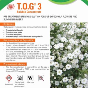 Hoa Baby thuốc là gì? Cách xử lý hoa Baby thuốc giúp hoa lâu tàn và bung nụ đều (Combo 2.5L pha 1.000L nước cắm hoa Baby)