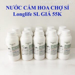 Nước Thuốc Cắm Hoa tại Chợ Sỉ Longlife SL nhập khẩu Israel