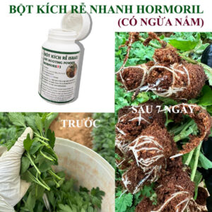 Thuốc Kích Thích Ra Rễ Nhanh Cây Hoa Cúc Mẫu Đơn Nhập Khẩu Israel (Có Trị Nấm)