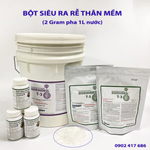 Công dụng Thuốc Kích Rễ Israel (Có trị nấm cây con)