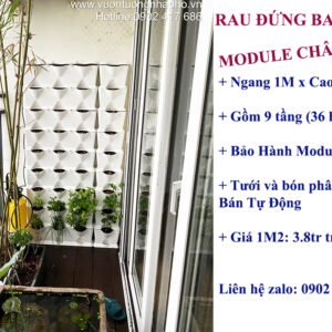Rau Đứng Ban Công (Thi công trọn gói) chậu Module Châu Âu