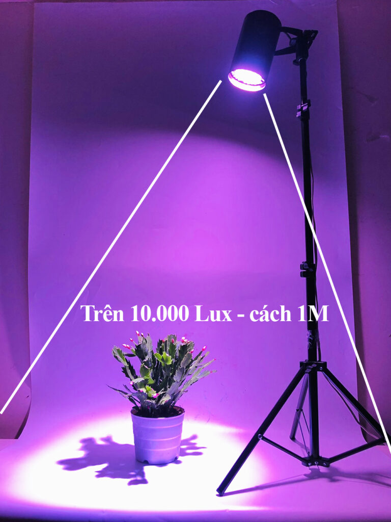 Đèn Led Trồng Sen Đá Trong Nhà Growlight 45W