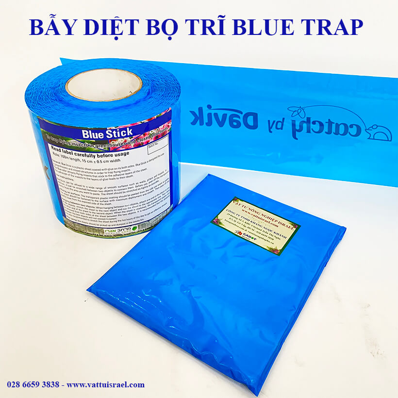 Keo Bẫy Xanh Blue Trap Trị Bọ Trĩ Trên cây Macca