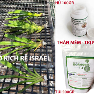 អ៊ីស្រាអែល Hormoril Imported Orchid Root Stimulator 3 (100gr jar)