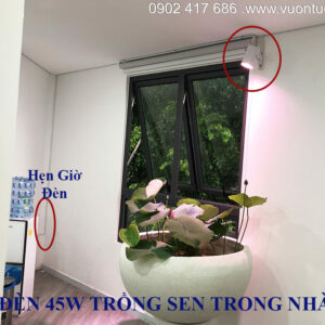 ĐÈN LED TRỒNG SEN ĐÁ TRONG NHÀ GROWLIGHT 45W (Trọn bộ) giúp cung cấp ánh sáng “giả lập mặt trời” để cây phát triển