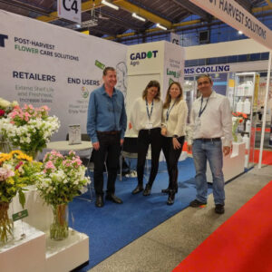 Khang Ngọc Khánh Tìm Đại Lý Phân Phối Thuốc Dưỡng Hoa Longlife Gói Nhập Khẩu Israel tại Việt Nam