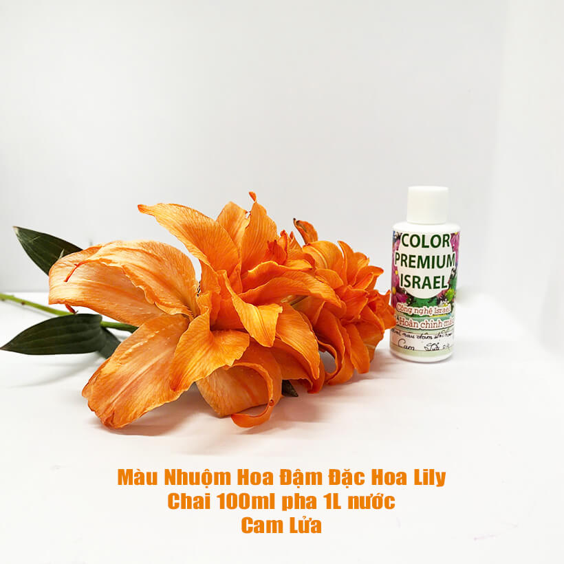 Nước Nhuộm Màu Hoa Ly Đậm đặc nhập khẩu Israel