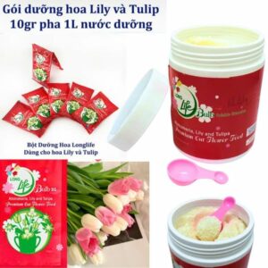 Thuốc Nước cắm hoa Lily và hoa Tulip Nhập Khẩu Hiệu Longlife Bulbs 2024 của Gadot Israel (1KG Pha 100L nước) tại Shop cắm Xốp hoa
