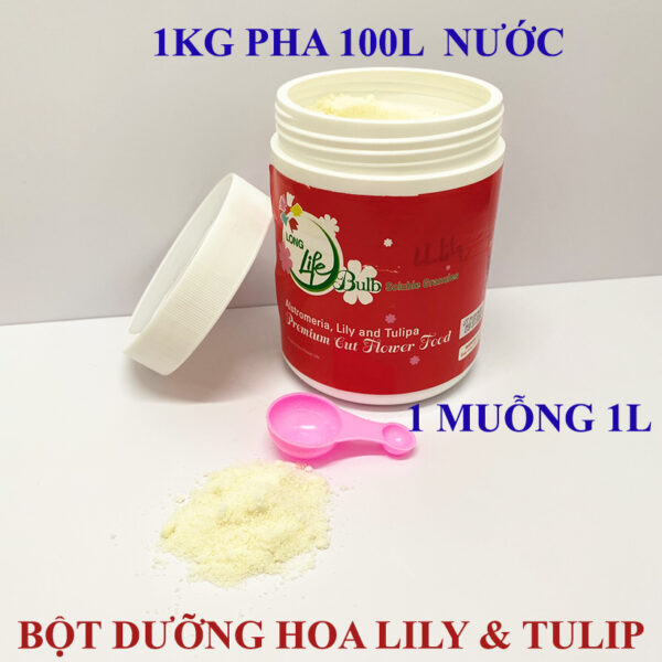 Nước Cắm Hoa Tulip LongLife Bulbs Israel Dạng Bột 1KG (Pha 100L Nước)
