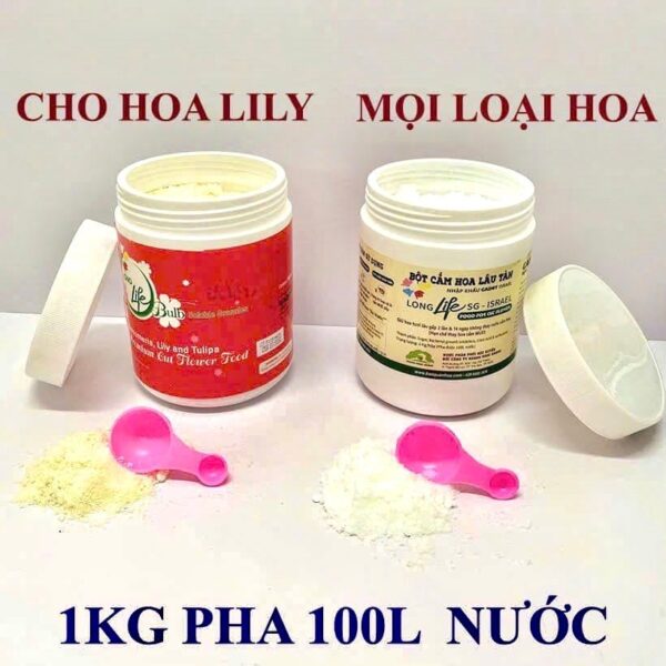 Nước Cắm Hoa Tulip LongLife Bulbs Israel là chế phẩm dạng bột hòa tan, pha với nước để tạo dung dịch dưỡng chuyên dụng cho hoa Tulip và Hoa Ly. Hộp 1kg pha được 100 lít nước, giúp hoa hút nước tốt, nở đều và tươi lâu.