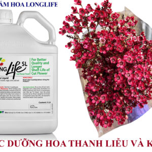 Chế phẩm Thuốc Nước Cắm hoa Thanh Liễu lâu tàn nhập khẩu Israel hiệu Longlife SL Liquid (CAN 5L pha 500L nước giá sỉ)