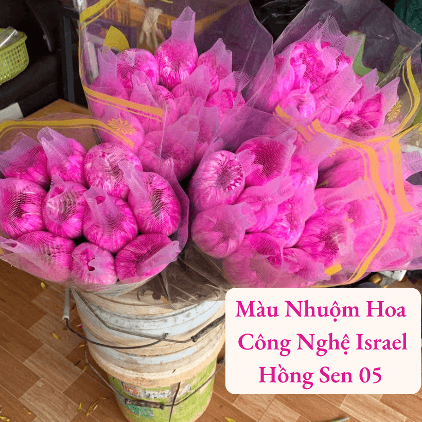 Bột nhuộm hoa nhập khẩu màu Hồng Sen Pre 05