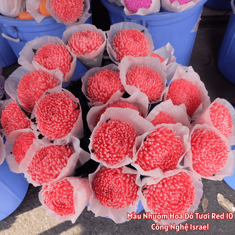 Bột Nhuộm Hoa Tươi Màu Đỏ Red