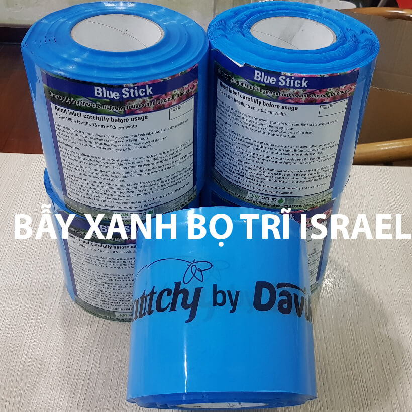 BẪY XANH DIỆT BỌ TRĨ CÂY MẮC CA BLUE TRAP